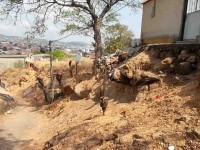 /album/a1/foto-26-jpg/